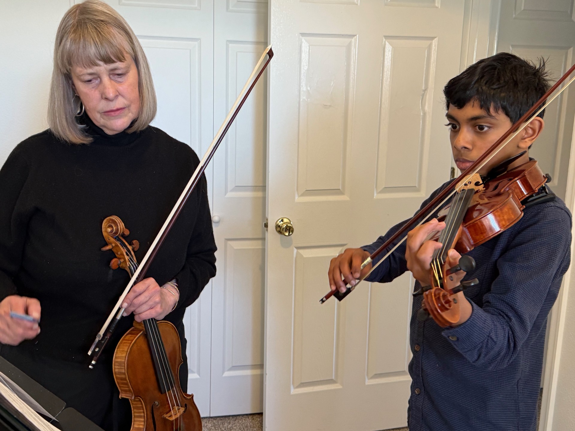 violin, zoom, computer, teacher